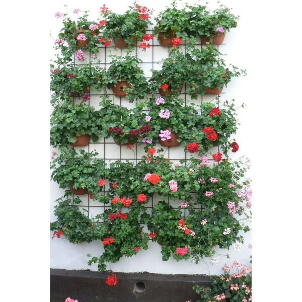 Samozavlažovací kvetináč na stenu Siesta, antracit, 29 cm, Plastia - samozavlažovacie kvetináče, samozavlažovací kvetináč, kvetinac, kvetináč, kvetináče, hlinené kvetináče, plastové kvetináče, plastovy kvetinac, hlineny kvetinac, terakotové kvetináče, vonkajšie kvetináče, lacné kvetináče, dizajnovy kvetinac, dizajnové kvetináče, zavlazovacie hodiny, kvetinace exterier, moderné kvetináče, moderny kvetinac, vyvýšené kvetináče, kvetinac plastovy, čierny kvetináč, zlatý kvetináč, kvetinace na okna, kvetinac na okno