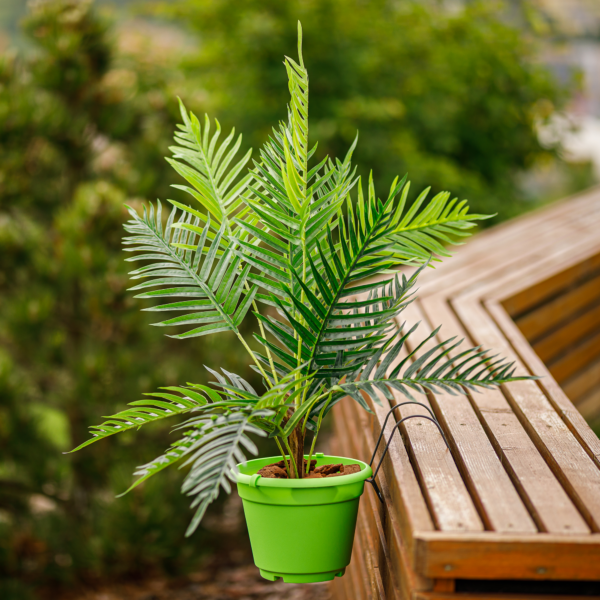 Závesný kvetináč, plast, zelená, DIGAL, zavesny kvetinac, kvetinac na balkon, zavesne kvetinace, zavesny kvetinac na zabradlie, zavesny kvetinac na stenu, visiaci kvetinac, drziak na zavesny kvetinac, kochliky na balkon, zavesny drziak na kvetinac, zavesny kvetinac na balkon, kvetinac zavesny, kvetináč na balkon, drziak na kvetinac na balkon, kvetinac na bylinky na balkon, zavesny crepnik, ikea zavesny kvetinac, zavesny kvetinac hornbach, zavesny kvetinac na plot, crepnik na balkon, kovovy zavesny kvetinac, kvetináč závesný, ratanovy zavesny kvetinac, zavesny hrantik, zavesny kvetinac antracit, zavesny ratanovy kvetinac, zavesny system na kvetinace