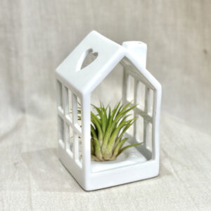 Biely keramický domček s tillandsiou - rastlinne terarium, rastliny do teraria, nadoba na rastlinne terarium, rastlinne terarium cena, rastlinne terarium navod, rastlinne terarium obi, rastlinne terarium predaj, rastlinne terarium starostlivost, rastliny vhodne do teraria, terarium rastlinne, umele rastliny do teraria, uzavrete rastlinne terarium, zatvorene rastlinne terarium, zive rastliny do teraria, zive rastliny do terária