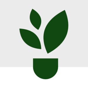 Darček k nákupu - náhodná rastlinka - bonsai terárium | rastlinné terárium | nenáročné rastliny | čistiace vzduch rastliny | vlhkomilné rastliny | ťahavé rastliny | izbové rastliny do tieňa | rastliny na rozptýlené svetlo | rastliny na priame slnko | bezpečné rastliny pre deti | bezpečné rastliny pre zvieratá | rastliny do kúpeľne | zelená dekorácia | starostlivosť o rastliny | DIY terárium