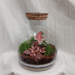 Rastlinné terárium biosféra s korkom - rastlinne terarium, rastliny do teraria, nadoba na rastlinne terarium, rastlinne terarium cena, rastlinne terarium navod, rastlinne terarium obi, rastlinne terarium predaj, rastlinne terarium starostlivost, rastliny vhodne do teraria, terarium rastlinne, umele rastliny do teraria, uzavrete rastlinne terarium, zatvorene rastlinne terarium, zive rastliny do teraria, zive rastliny do terária