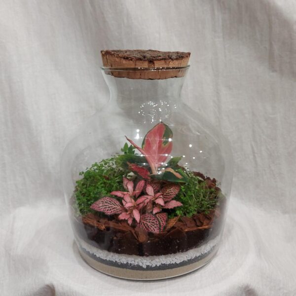 Rastlinné terárium biosféra s korkom - rastlinne terarium, rastliny do teraria, nadoba na rastlinne terarium, rastlinne terarium cena, rastlinne terarium navod, rastlinne terarium obi, rastlinne terarium predaj, rastlinne terarium starostlivost, rastliny vhodne do teraria, terarium rastlinne, umele rastliny do teraria, uzavrete rastlinne terarium, zatvorene rastlinne terarium, zive rastliny do teraria, zive rastliny do terária