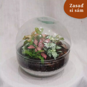 Rastlinné terárium biosféra | Vyrob si sám - rastlinne terarium, rastliny do teraria, nadoba na rastlinne terarium, rastlinne terarium cena, rastlinne terarium navod, rastlinne terarium obi, rastlinne terarium predaj, rastlinne terarium starostlivost, rastliny vhodne do teraria, terarium rastlinne, umele rastliny do teraria, uzavrete rastlinne terarium, zatvorene rastlinne terarium, zive rastliny do teraria, zive rastliny do terária