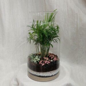 Rastlinné terárium palmový svet XXL - rastlinne terarium, rastliny do teraria, nadoba na rastlinne terarium, rastlinne terarium cena, rastlinne terarium navod, rastlinne terarium obi, rastlinne terarium predaj, rastlinne terarium starostlivost, rastliny vhodne do teraria, terarium rastlinne, umele rastliny do teraria, uzavrete rastlinne terarium, zatvorene rastlinne terarium, zive rastliny do teraria, zive rastliny do terária
