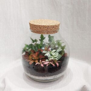 Rastlinné terárium tropický svet s korkom - rastlinne terarium, rastliny do teraria, nadoba na rastlinne terarium, rastlinne terarium cena, rastlinne terarium navod, rastlinne terarium obi, rastlinne terarium predaj, rastlinne terarium starostlivost, rastliny vhodne do teraria, terarium rastlinne, umele rastliny do teraria, uzavrete rastlinne terarium, zatvorene rastlinne terarium, zive rastliny do teraria, zive rastliny do terária