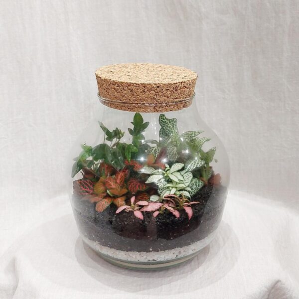 Rastlinné terárium tropický svet s korkom - rastlinne terarium, rastliny do teraria, nadoba na rastlinne terarium, rastlinne terarium cena, rastlinne terarium navod, rastlinne terarium obi, rastlinne terarium predaj, rastlinne terarium starostlivost, rastliny vhodne do teraria, terarium rastlinne, umele rastliny do teraria, uzavrete rastlinne terarium, zatvorene rastlinne terarium, zive rastliny do teraria, zive rastliny do terária